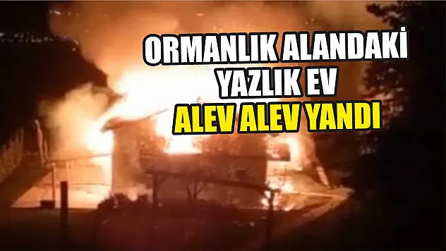 Ormanlık alandaki yazlık ev alev alev yandı