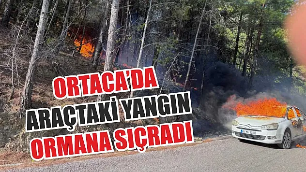 Ortaca'da araçtaki yangın ormana sıçradı
