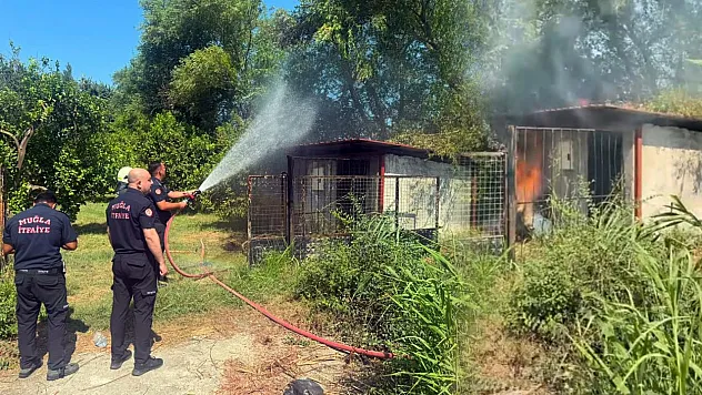 Ortaca'da korkutan yangın! Alevler kulübeyi sardı