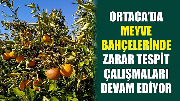 Ortaca'da meyve bahçelerinde zarar tespit çalışmaları devam ediyor