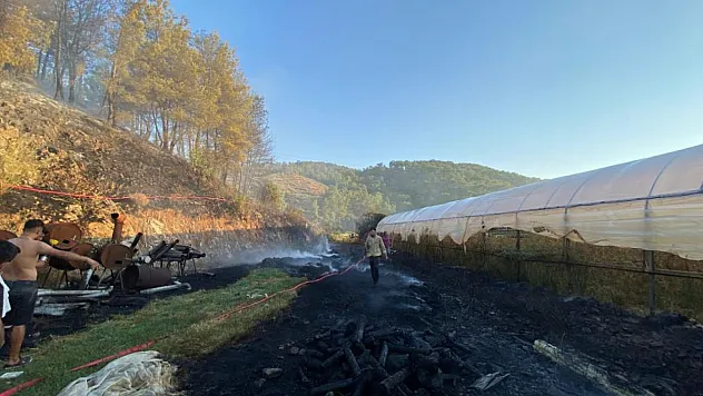 Ortaca'da Yangın Korkusu: 2 Sera Zarar Gördü