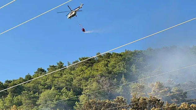 Ortaca'daki orman yangını kontrol altına alındı