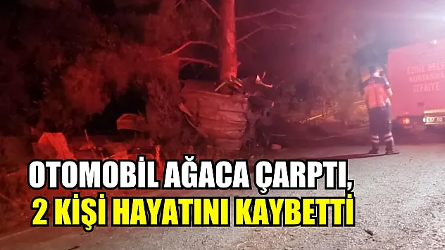 Otomobil ağaca çarptı, 2 kişi hayatını kaybetti