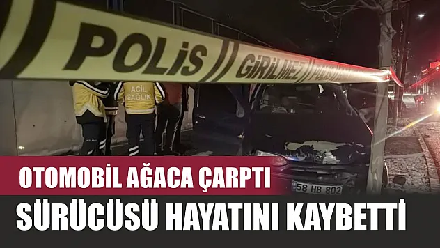 Otomobil ağaca çarptı, sürücüsü hayatını kaybetti