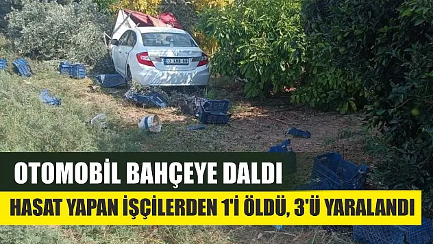 Otomobil bahçeye daldı: Hasat yapan işçilerden 1'i öldü, 3'ü yaralandı