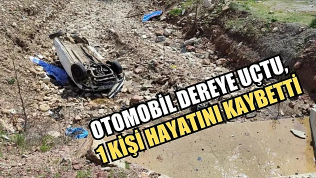 Otomobil dereye uçtu, 1 kişi hayatını kaybetti