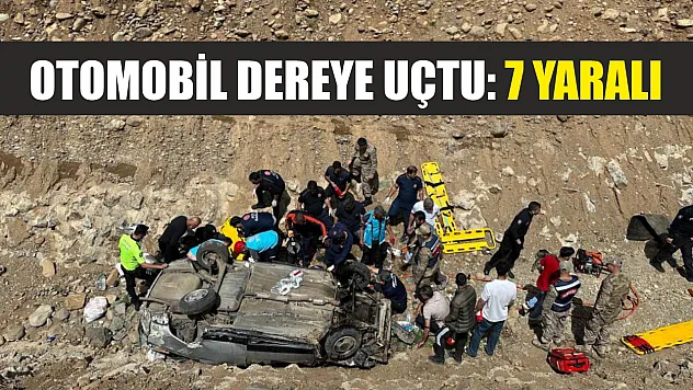 Otomobil dereye uçtu: 7 yaralı