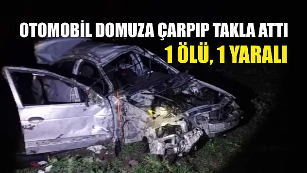 Otomobil domuza çarpıp takla attı: 1 ölü, 1 yaralı