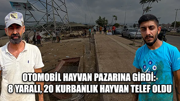 Otomobil Hayvan Pazarına Girdi: 8 Yaralı, 20 Kurbanlık Hayvan Telef Oldu