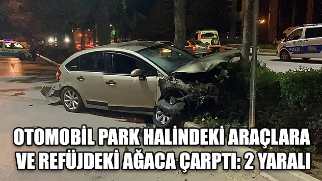 Otomobil Park Halindeki Araçlara Ve Refüjdeki Ağaca Çarptı: 2 Yaralı