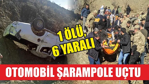 Otomobil şarampole uçtu: 1 ölü, 6 yaralı