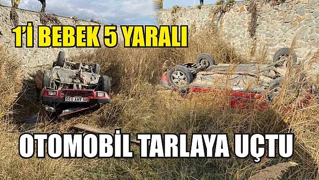 Otomobil tarlaya uçtu: 1'i bebek 5 yaralı