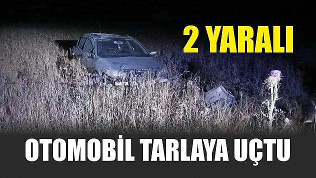 Otomobil tarlaya uçtu: 2 yaralı