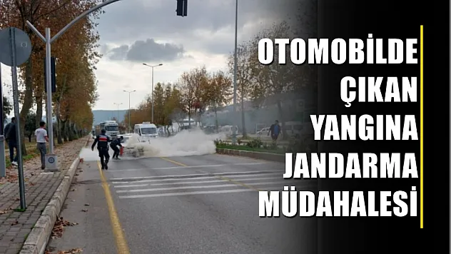 Otomobilde çıkan yangına jandarma müdahalesi
