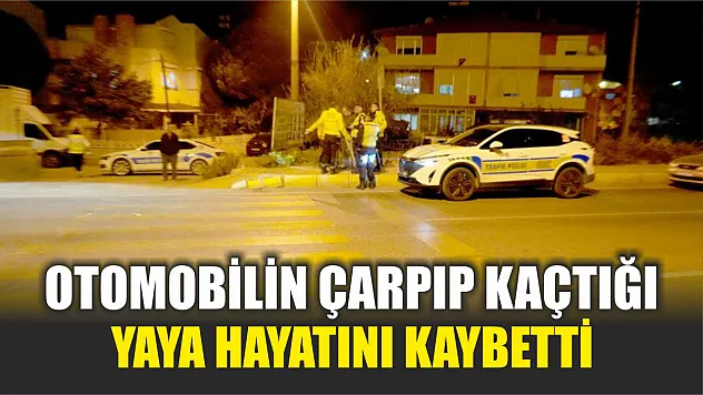 Otomobilin çarpıp kaçtığı yaya hayatını kaybetti