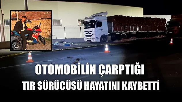 Otomobilin çarptığı tır sürücüsü hayatını kaybetti