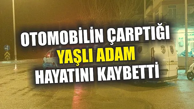 Otomobilin çarptığı yaşlı adam hayatını kaybetti