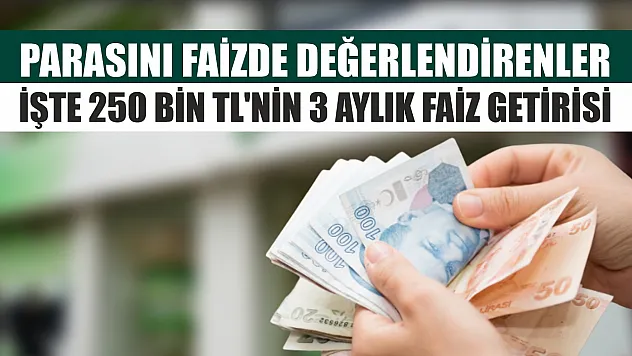 Parasını faizde değerlendirenler: İşte 250 bin TL'nin 3 aylık faiz getirisi