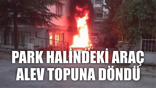 Park halindeki araç alev topuna döndü