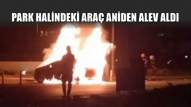 Park Halindeki Araç Aniden Alev Aldı