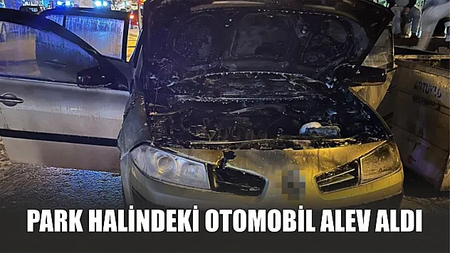 Park halindeki otomobil alev aldı