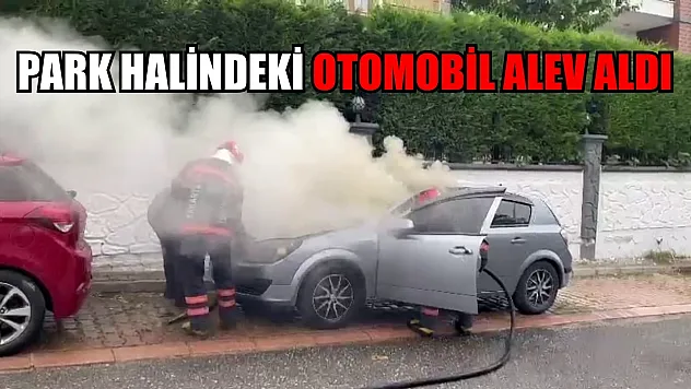 Park halindeki otomobil alev aldı