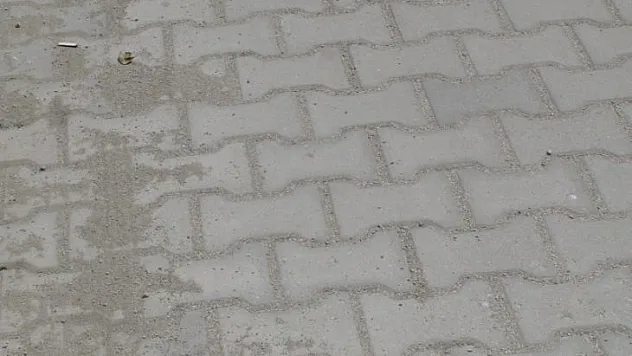 Parke çalışmaları tamamlandı