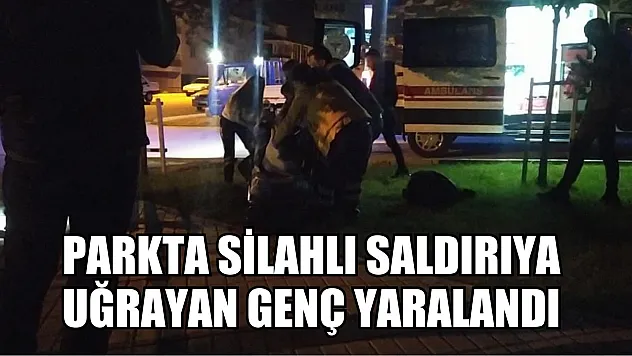 Parkta silahlı saldırıya uğrayan genç yaralandı