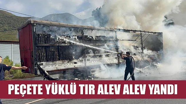 Peçete yüklü tır alev alev yandı