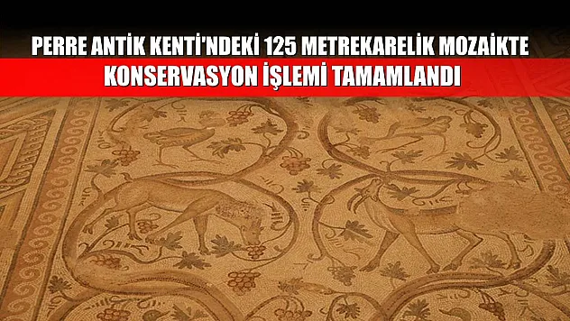 Perre Antik Kenti'ndeki 125 metrekarelik mozaikte konservasyon işlemi tamamlandı