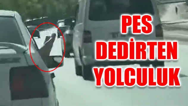 Pes Dedirten Yolculuk