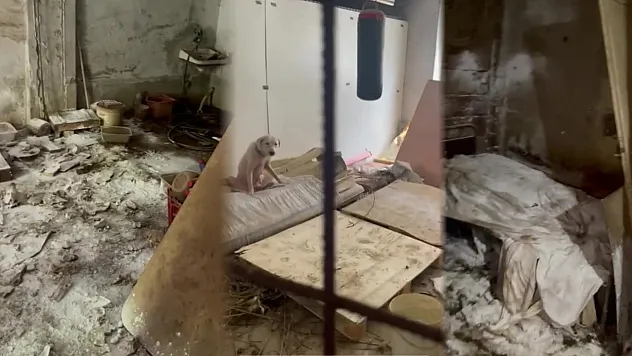 Pire istilasına uğrayan sokakta kan donduran görüntüler