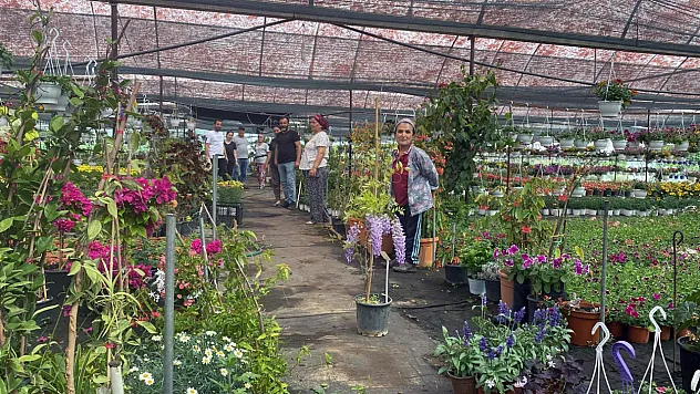 Piyasa değeri 50 milyon tl olan çiçek üretildi