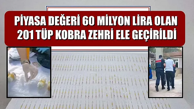 Piyasa değeri 60 milyon lira olan 201 tüp kobra zehri ele geçirildi