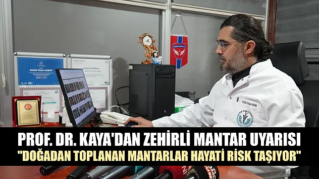 Prof. Dr. Kaya'dan zehirli mantar uyarısı: 'Doğadan toplanan mantarlar hayati risk taşıyor'
