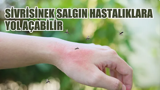 Prof Dr. Taşova: 'Sivrisinek salgın hastalıklara yol açabilir'