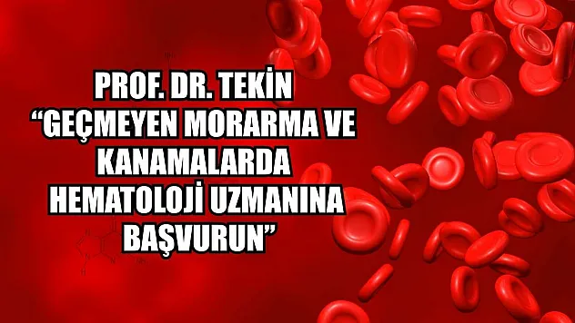 Prof. Dr. Tekin: 'Geçmeyen morarma ve kanamalarda hematoloji uzmanına başvurun'