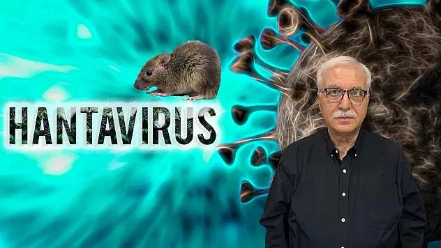 Prof Dr. Tevfik Özlü: 'Hanta Virüsü nedeniyle bir pandemi ihtimali gözükmüyor'