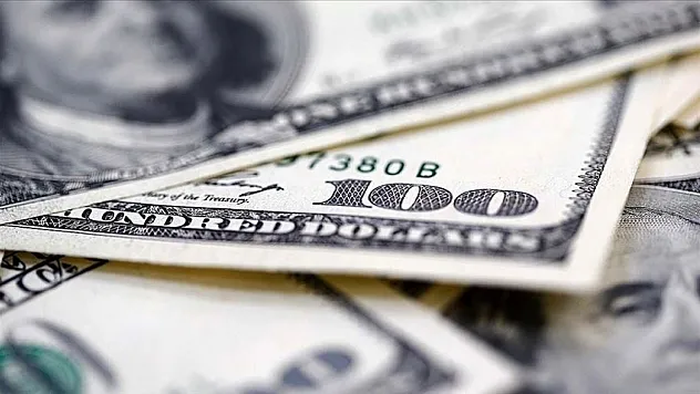 Reel efektif döviz kuru endeksi Ocak'ta 102,17 oldu