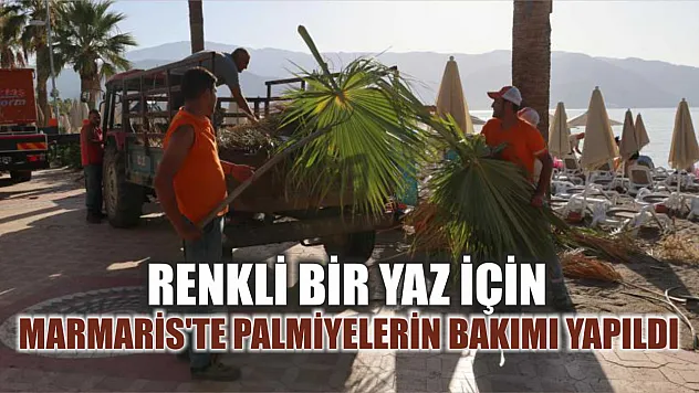 Renkli Bir Yaz İçin: Marmaris'te Palmiyelerin bakımı yapıldı