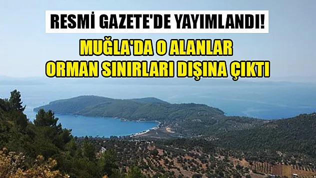 Resmi Gazete'de yayımlandı! Muğla'da o alanlar orman sınırları dışına çıktı