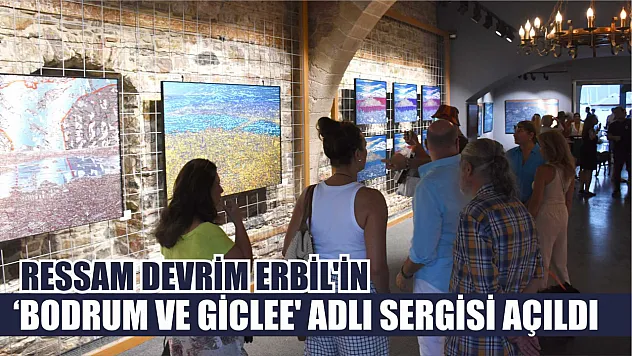 Ressam Devrim Erbil'in 'Bodrum ve Giclee' adlı sergisi açıldı