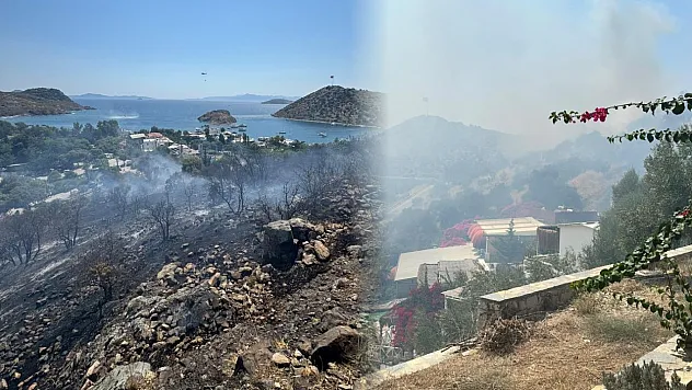 Rüzgar alevleri büyüttü, Bodrum'daki yangın kontrol altına alındı