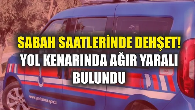 Sabah saatlerinde dehşet! Yol kenarında ağır yaralı bulundu