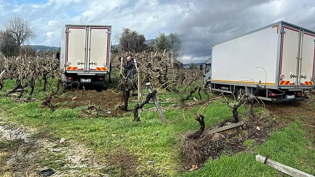 Sabıkalı yolda kamyon üzüm bağına girdi