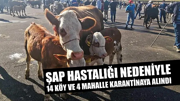 Şap hastalığı nedeniyle 14 köy ve 4 mahalle karantinaya alındı