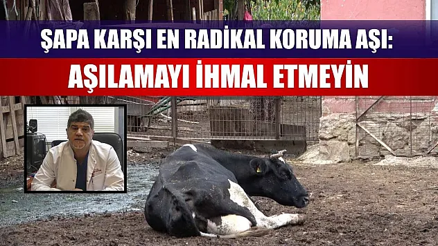 Şapa karşı en radikal koruma aşı: Aşılamayı ihmal etmeyin