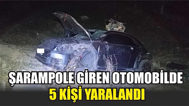 Şarampole giren otomobilde 5 kişi yaralandı