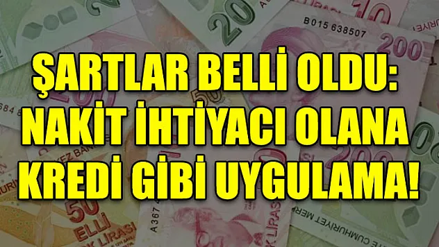 Şartlar belli oldu: Nakit ihtiyacı olana kredi gibi uygulama!