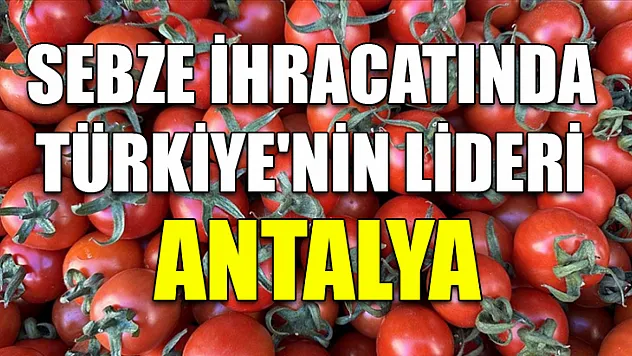 Sebze ihracatında Türkiye'nin lideri Antalya